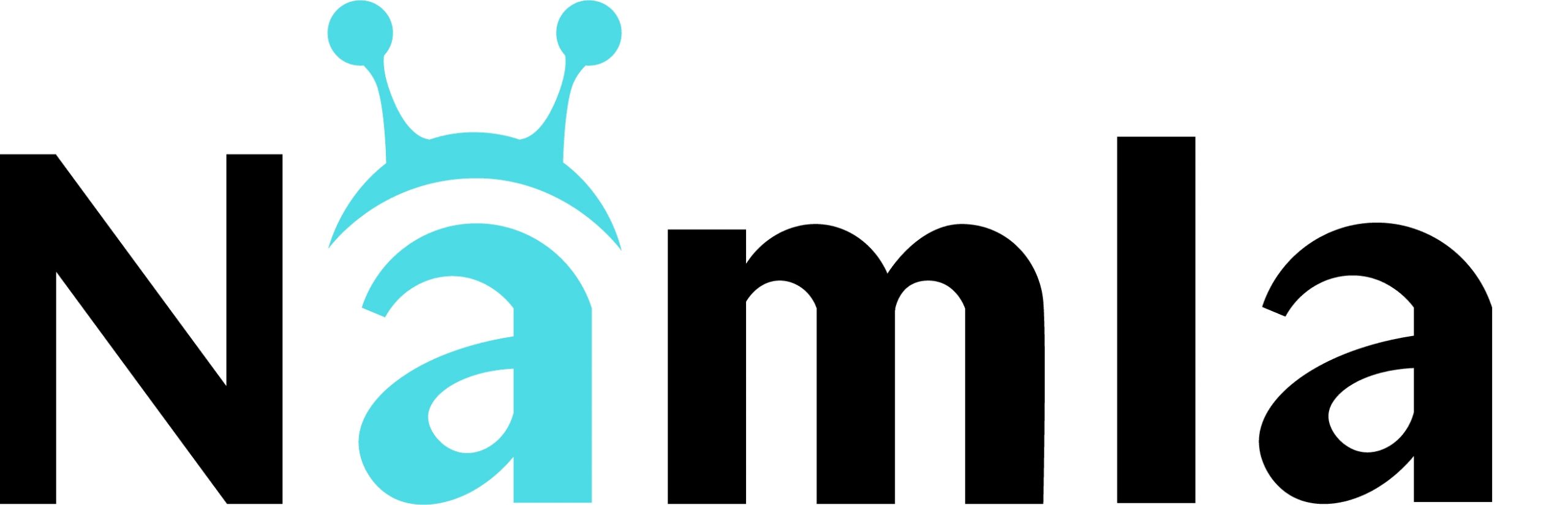 NAMLA logo