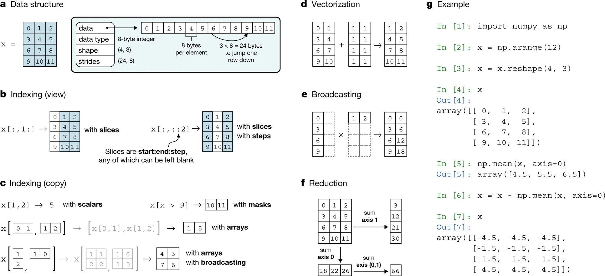 Diagram of NumPy array data structure
