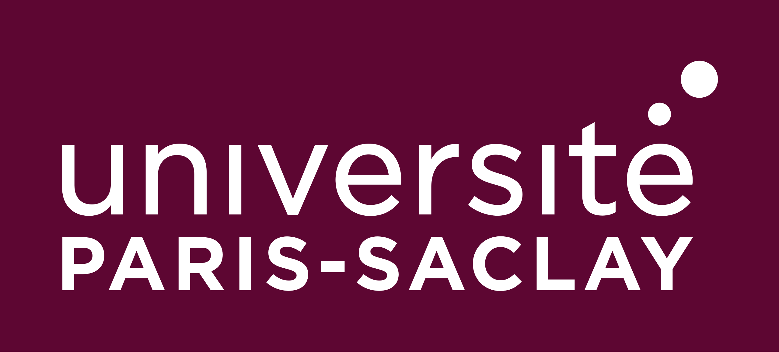 Université Paris-Saclay, Orsay logo